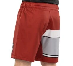 Fuji Electric Grappling Fight Shorts -Martial Arts Equipment 10 1600x1600 11c6a442 16e7 4bdb 8832 18a2dd786708