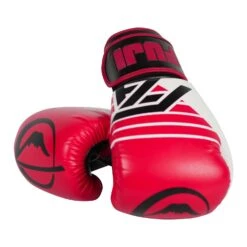 FUJI ASCENSION BOXING GLOVES