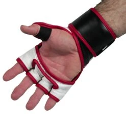 FUJI ASCENSION MMA GLOVES -Martial Arts Equipment FA MMA Gloves 3631 palm 1