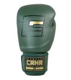 Combat Corner HMIT Boxing Gloves -Martial Arts Equipment HMIT Boxing Gloves GREEN FRONT 14859