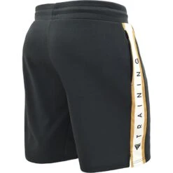 RDX SPORTS RDX T17 AURA TRAINING SHORTS -Martial Arts Equipment RDX T17 Aura Training Shorts 1