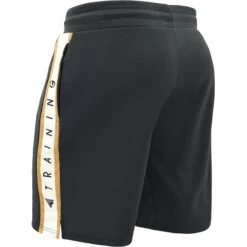 RDX SPORTS RDX T17 AURA TRAINING SHORTS -Martial Arts Equipment RDX T17 Aura Training Shorts 2