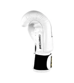 Combat Corner HMIT Boxing Gloves -Martial Arts Equipment WHITE GOLD HMIT GLOVES right 86230