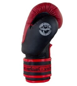 Combat Corner HMIT Kids Boxing Gloves | Red 6 Combat Corner HMIT Kids Boxing Gloves | Red -Martial Arts Equipment YOUTH HMIT Boxing Gloves Red RIGHT 15999.1588962681