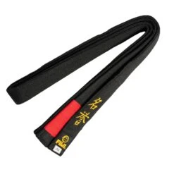 Fuji BJJ Black Belt Presentation Box