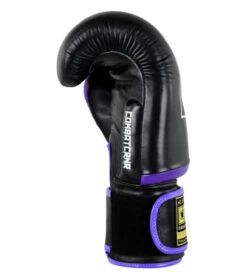 Combat Corner HMIT Boxing Gloves Purple -Martial Arts Equipment hmit boxing gloves purple 64