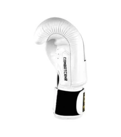 Combat Corner HMIT White Boxing Gloves -Martial Arts Equipment hmit boxing gloves white 53