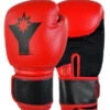 Combat Corner Youngstar 6oz. Youth Boxing Gloves