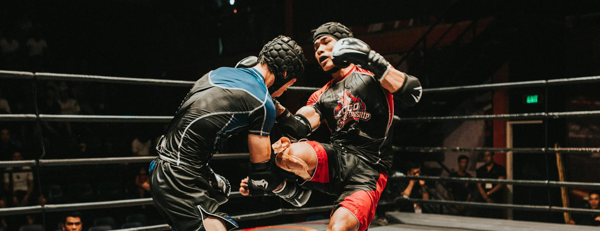 Martial Arts Equipment -Martial Arts Equipment pexels coco championship 191448 598631